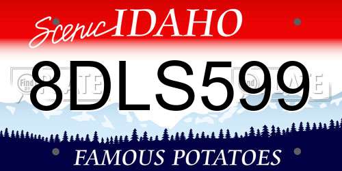 8DLS599 Idaho License Plate