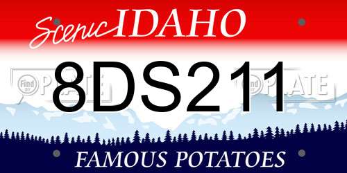 8DS211 Idaho License Plate