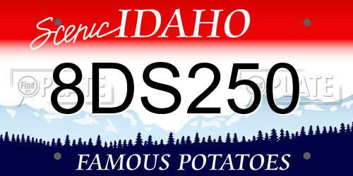 8DS250 Idaho License Plate