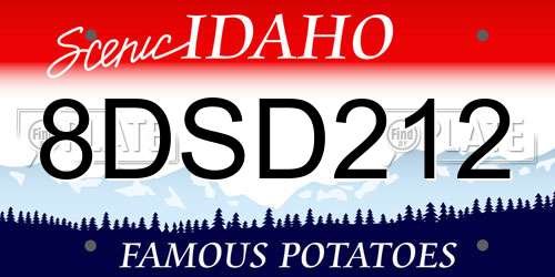 8DSD212 Idaho License Plate