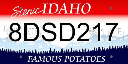 8DSD217 Idaho License Plate