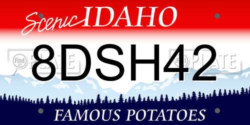 8DSH42 Idaho License Plate