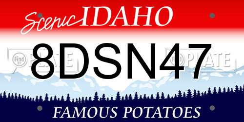 8DSN47 Idaho License Plate