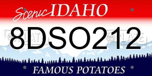 8DSO212 Idaho License Plate