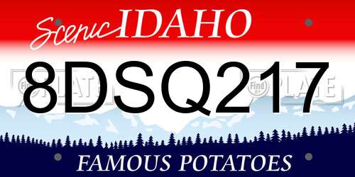 8DSQ217 Idaho License Plate