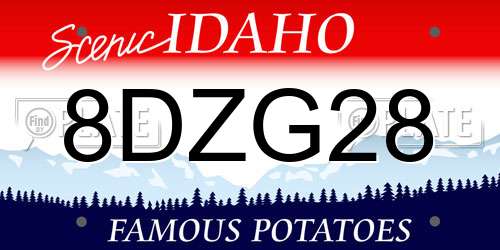 8DZG28 Idaho License Plate