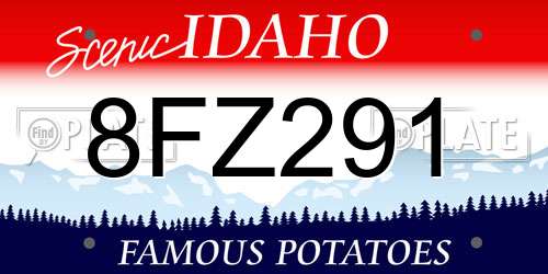 8FZ291 Idaho License Plate