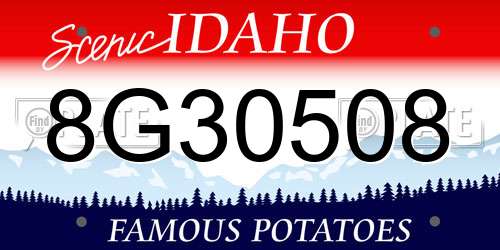 8G30508 Idaho License Plate