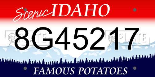 8G45217 Idaho License Plate