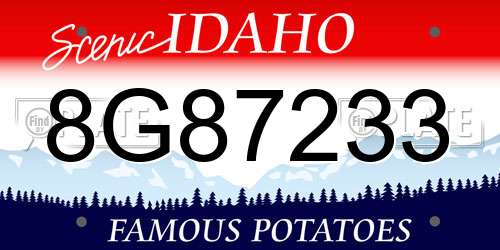 8G87233 Idaho License Plate