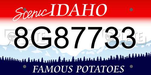 8G87733 Idaho License Plate