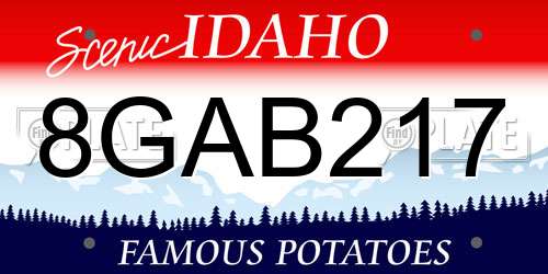 8GAB217 Idaho License Plate