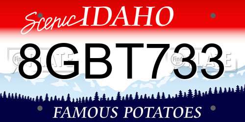 8GBT733 Idaho License Plate