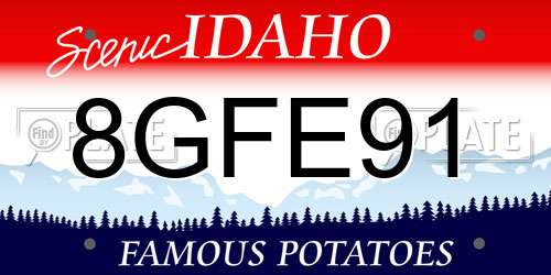 8GFE91 Idaho License Plate
