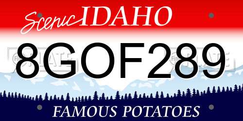 8GOF289 Idaho License Plate