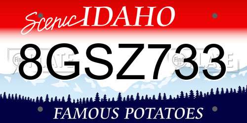 8GSZ733 Idaho License Plate