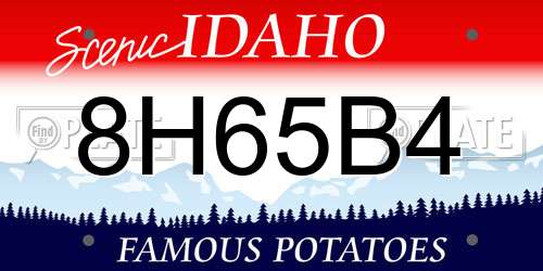 8H65B4 Idaho License Plate