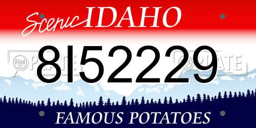 8I52229 Idaho License Plate