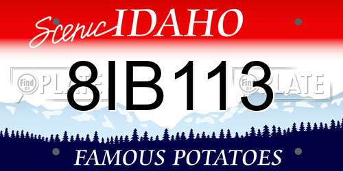 8IB113 Idaho License Plate