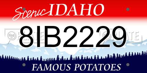 8IB2229 Idaho License Plate