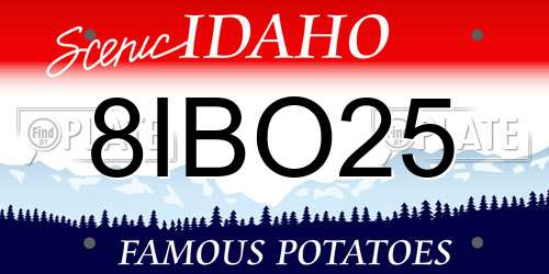 8IBO25 Idaho License Plate
