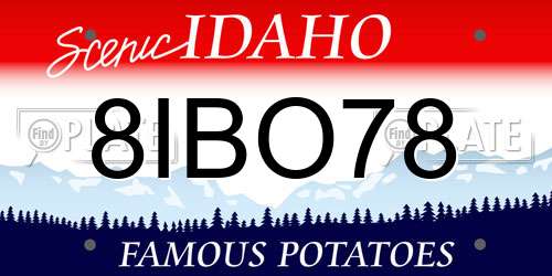 8IBO78 Idaho License Plate