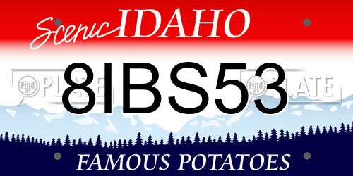 8IBS53 Idaho License Plate