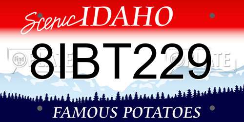 8IBT229 Idaho License Plate