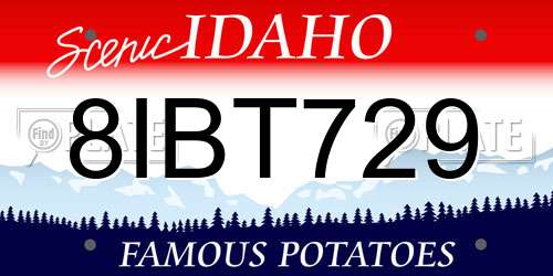 8IBT729 Idaho License Plate
