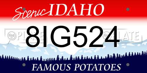 8IG524 Idaho License Plate