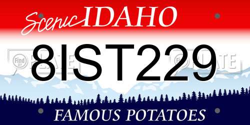 8IST229 Idaho License Plate