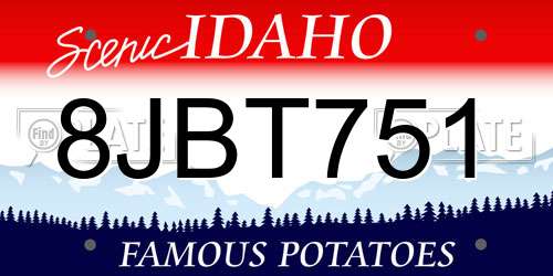 8JBT751 Idaho License Plate