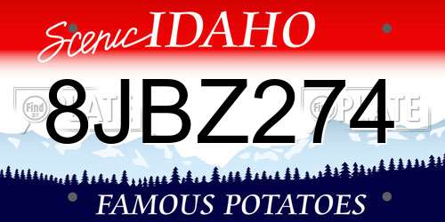 8JBZ274 Idaho License Plate