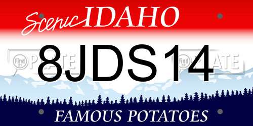 8JDS14 Idaho License Plate