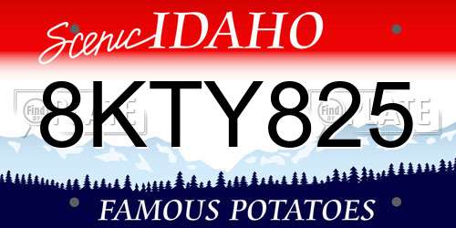 8KTY825 Idaho License Plate