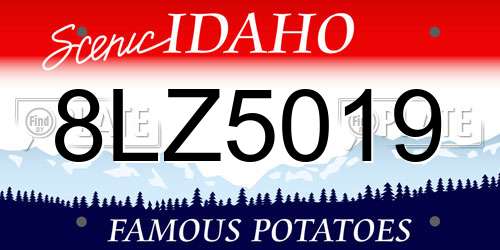 8LZ5019 Idaho License Plate