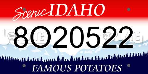 8O20522 Idaho License Plate