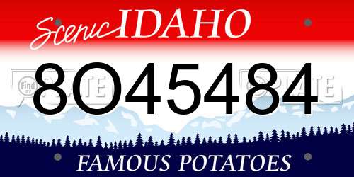 8O45484 Idaho License Plate
