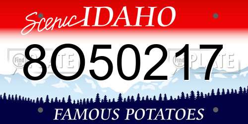 8O50217 Idaho License Plate