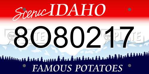 8O80217 Idaho License Plate
