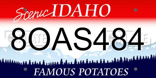 8OAS484 Idaho License Plate