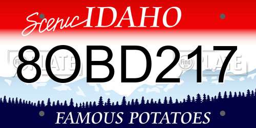 8OBD217 Idaho License Plate