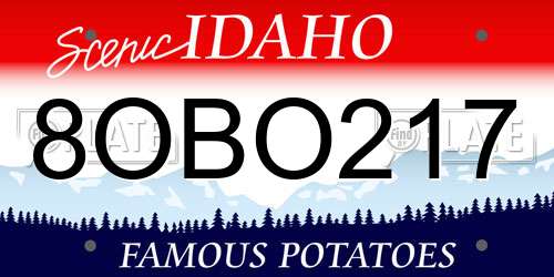 8OBO217 Idaho License Plate