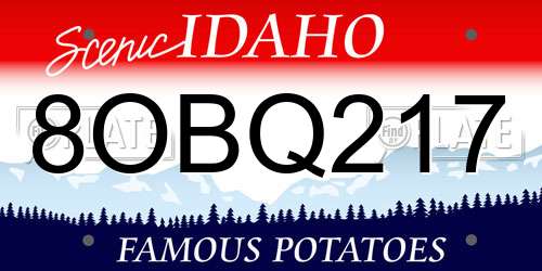 8OBQ217 Idaho License Plate