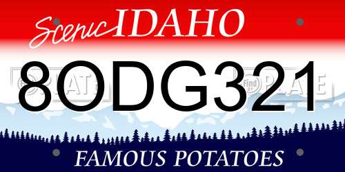 8ODG321 Idaho License Plate