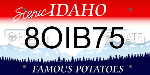 8OIB75 Idaho License Plate