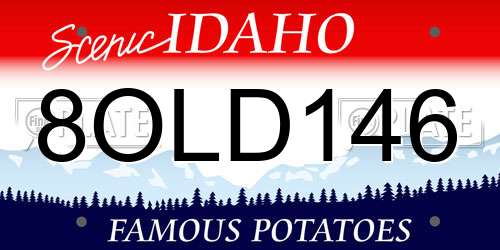 8OLD146 Idaho License Plate