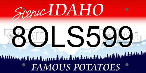 8OLS599 Idaho License Plate