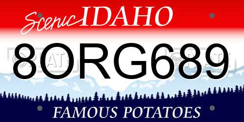 8ORG689 Idaho License Plate