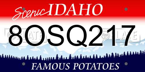 8OSQ217 Idaho License Plate